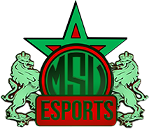 Wappen MSV eSports